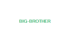 big brother