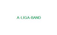http://www.tvaudiencia.net/wp-content/uploads/2010/03/A-Liga-Band.jpg